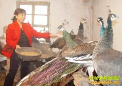 [�����е�����ȸ]����ȸ�������˵�������