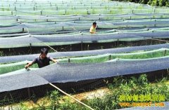 [�����е�����]����ͷ���ĵ¸�������С����