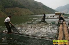 [�����е�������]��˫��:С����Ĵ�Ƹ�