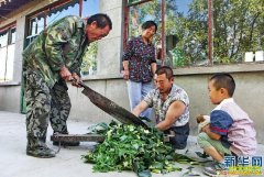 [�۽���ũ]�ӱ�������Ӳ��������������ֳ����ҵ�¸�