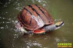 [�����е�]�㶫��������:��ס��Ǯ�� ���ý�Ǯ��