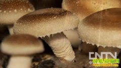 [�¸������㹽]100��Ԫ�����α�ج��֮��