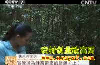 [ÿ��ũ��]ð��ͱ�����Ѵ����Ĳ�Դ(��)