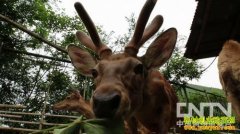 [�¸�����¹]20��С������鴴ҵ�����Ʋ�֮��