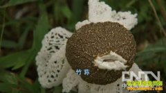 [�¸���]���Ƹ�:���ϴ�ȹ�ӵ�������׬Ǯ