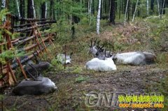 [�����е���ѱ¹]����ϼ:�����ֺ� ����ѱ¹