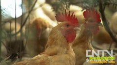 [�¸�������]Ϊ��Ů�� ����ȥ������