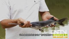 [�¸�������]ʧ��У������� ��Ѽ����׬Ǯ