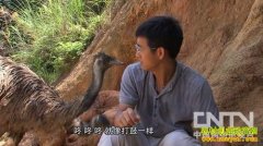 [�¸���]ɽ���������ϴ���������˳�Ծ��