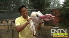 [�¸���]����������ǧԪ��ʼ�ĲƸ�����