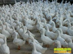 [�����е�]��Ѽ˾��ӱ�Фһ�顢ФΨ