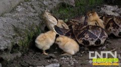 [ÿ��ũ������]̸�����岽�߶�׬Ǯ������(��)