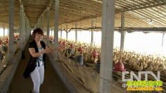 [�¸���]����Ů�˹���÷Ѽ�����̽�