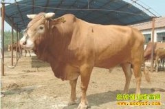 [ũ�������ţ]³��ţ��ֳ������Ƶ