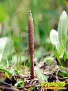 [�Ƽ�Է]�����Ĳ�Ե�������ϡ