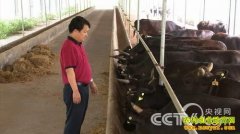 [�¸���]���������������򻨹�ǧ��Ҳ�