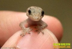 [�Ƽ�Է]���ڻ���Ů��֣����