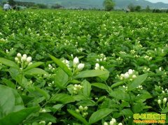 [ũ�����]�������༼����Ƶ