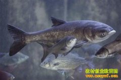 [ÿ��ũ��]�۸�ǧԪ����ͷ�㲻����