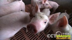 [�¸�������]��ѧ��ʦ���Ƿ������¸�