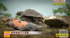 [�Ƽ�Է]���������������������