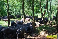 [�����е�����]�����κ�����ĺ�����ֳ����