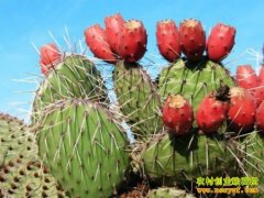 [�Ƽ�Է]������ɽ��ġ����ҡ�