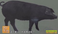 [ũ�����]�ս�����ֳ������Ƶ