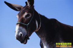 [�۽���ũ]�������� ̽��¿