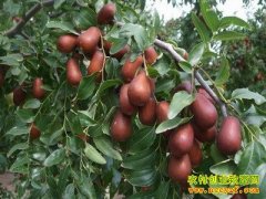 [�۽���ũ]������ճ�����