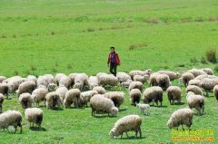 [ÿ��ũ��]��ë4���� ��ϸë���ӽ�������