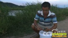 [�¸���]ϱ������ױ ��С��ȴ��������