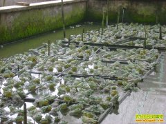 [ũ���������]�������������