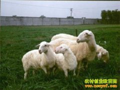 [ÿ��ũ��]��«��ĺ����׬Ǯ