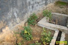 [�����е�]��ǿ�������������·