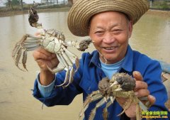 [ÿ��ũ��]����ϲ���ĳ��˴�բз