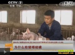 [�Ƽ�Է����]Ƭ�Ǻ�Ϊʲô����ι���