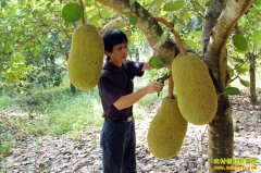 [�Ƽ�Է������]�ֳ����������