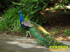 [�����е�����ȸ]����ȸ�ɳ������