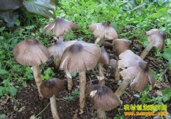 [ÿ��ũ��]6Сʱ��һ�εļ��Ⱦ�