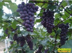 [ÿ��ũ��]�����������������