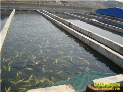 [ũ�����]��������ֳ������Ƶ