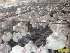 [�����е������]������׬Ǯ���ϵ���ʼ