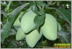 [ũ�����]â��Ʒ�ֽ�����Ƶ