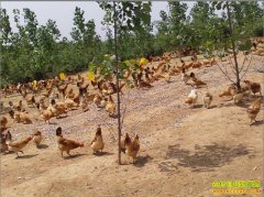 [ÿ��ũ��]��������������