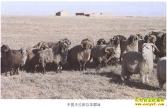 [ũ���������]�½������������ֳ������Ƶ