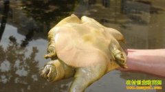 [ũ�����]�ȫԽ��������Ƶ