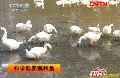 [ũ�����]������ѧ����������Ƶ