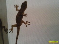 [�Ƽ�Է]���ڻ���Ů��