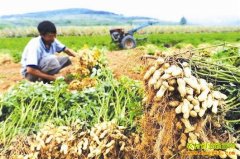 [�۽���ũ]�����ջ�ķ���